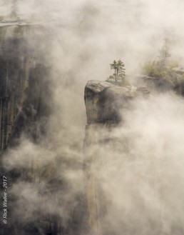 Yosemite Valley Fog - HeartWork Photography Accessible Nature Outings - Copyright 2017 Rick Waller